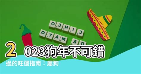 2023 狗 顏色|屬狗的吉利顏色有哪些？2023年運勢解析